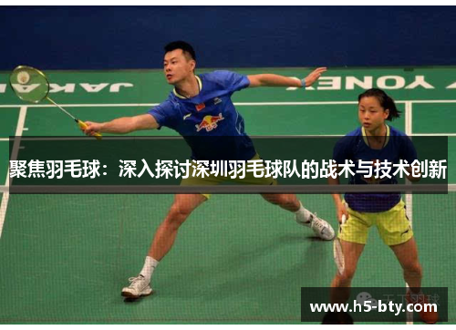 聚焦羽毛球：深入探讨深圳羽毛球队的战术与技术创新